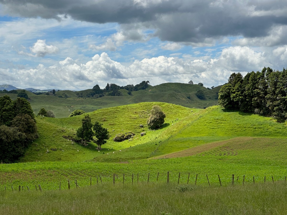 New Zealand’s North&nbsp;Island