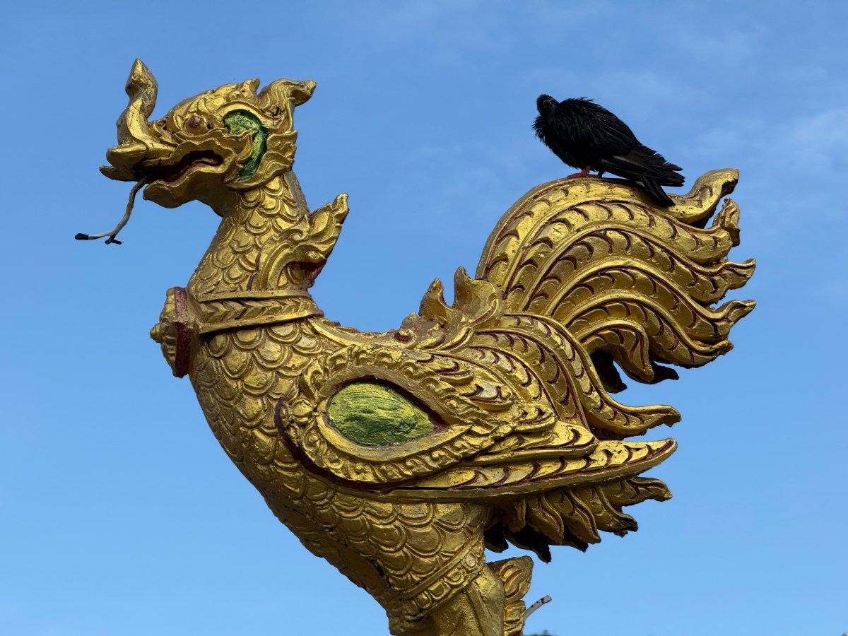 Exploring Koh Samui: Temples, Food, and&nbsp;Culture